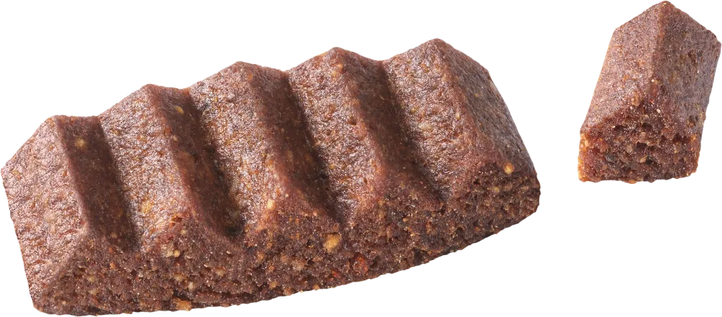 morbidosi_anatra_03.webp
