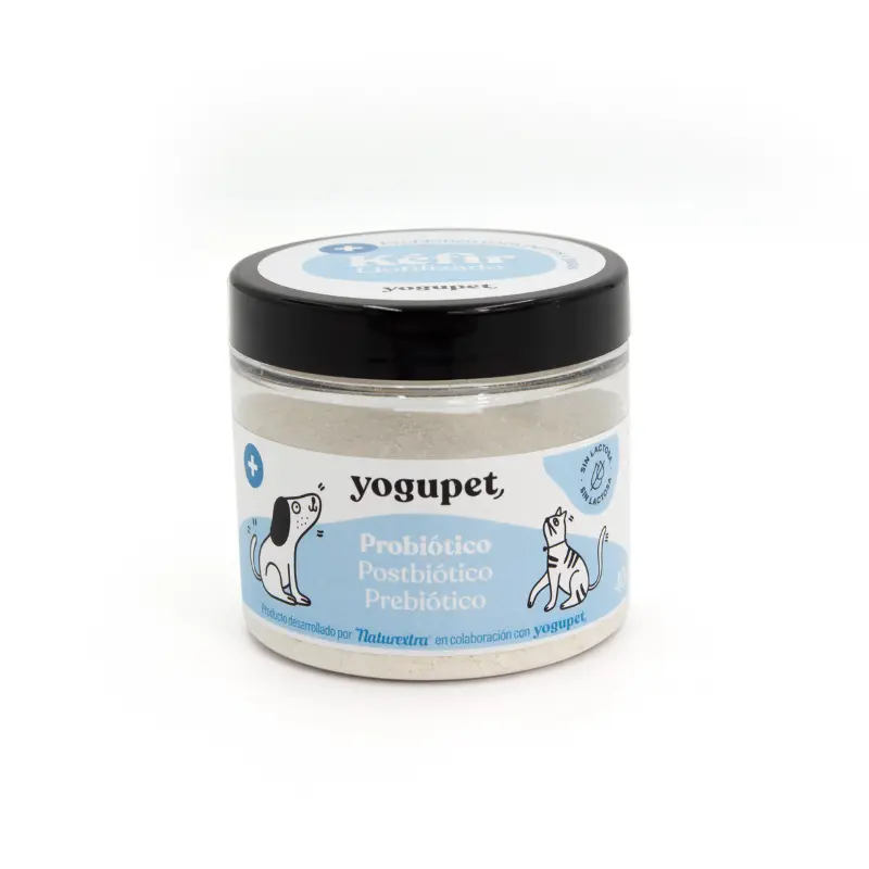 Gevriesdroogde Kefir
